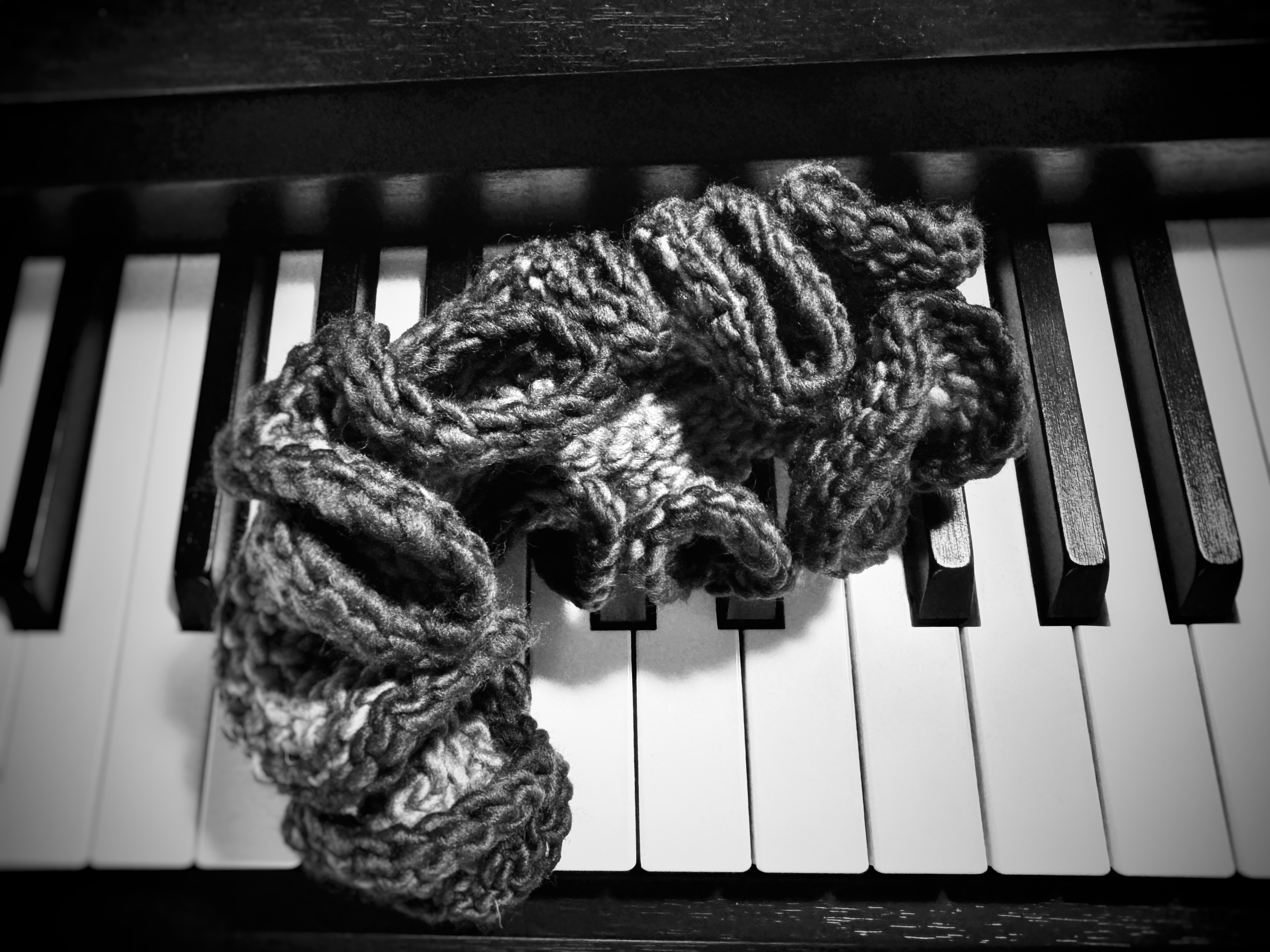 An image of a crocheted nudibranch on the piano.