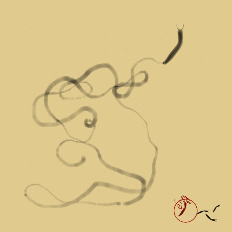 An image of a slug with slug trail
                    inspired by Nagasawa Rosetsu.